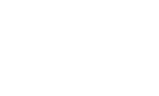 Punchy Picks